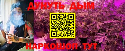 трава Ставрополь