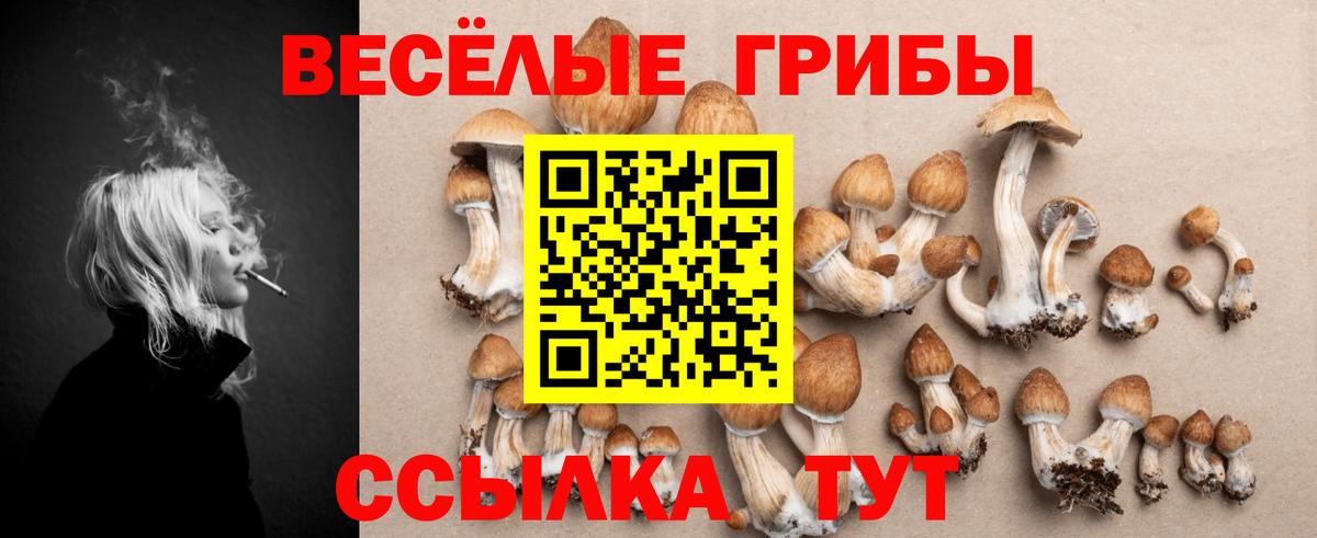 Псилоцибиновые грибы Psilocybe  Вход с VPN  Лянтор 